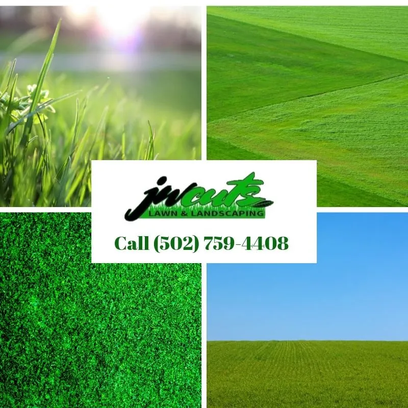 Top-rated lawn care service experts serving Louisville, KY - JW Cuts Lawns and Landscaping