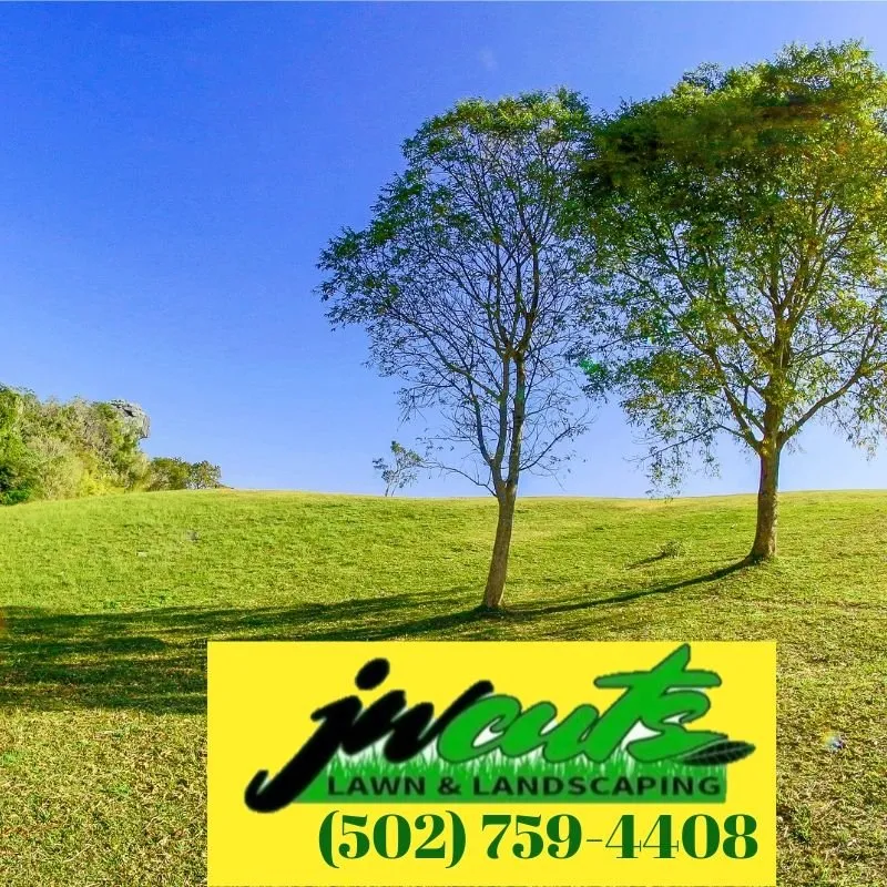 Custom lawn mowing service near you in Louisville, KY by JW Cuts Lawns and Landscaping