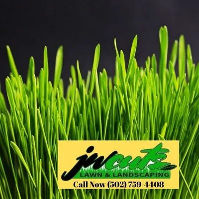 JW Cuts Lawns and Landscaping Logo