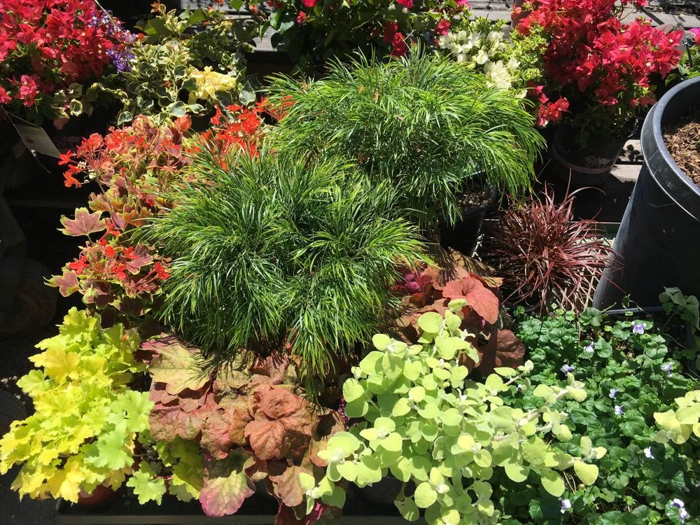 Professional garden landscaping for year-round maintenance in Whittier, CA by JW Garden & Design