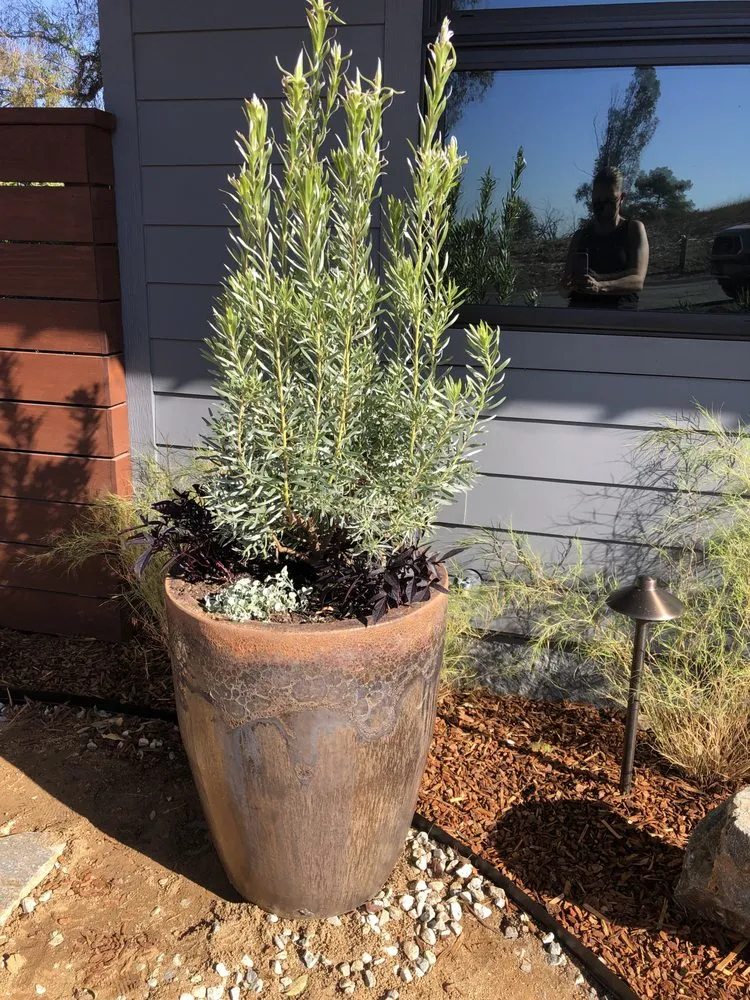 Custom outdoor landscaping in Whittier, CA by JW Garden & Design