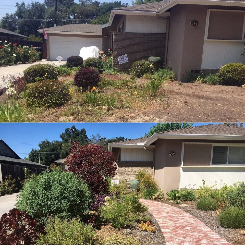 Reliable yard cleanup service in Whittier, CA by JW Garden & Design
