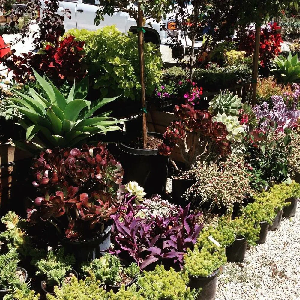 Custom lawn mowing service experts serving Whittier, CA - JW Garden & Design