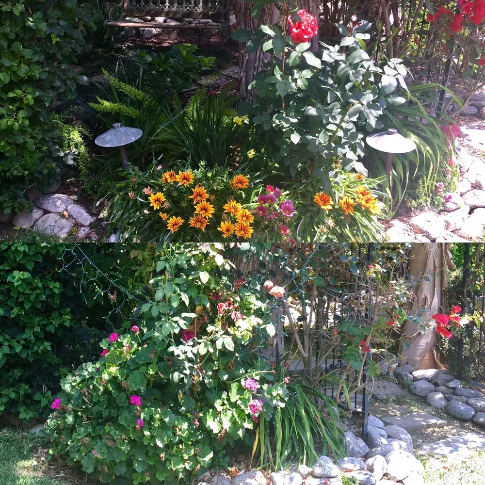 Custom landscape design in Whittier, CA - JW Garden & Design