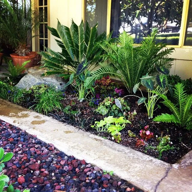 Affordable lawn care service for beautiful yards in Whittier, CA by JW Garden & Design