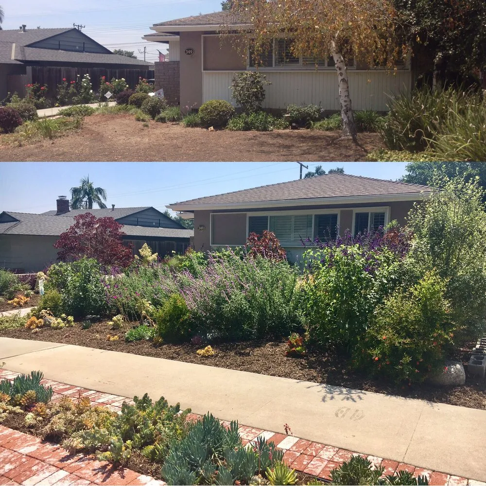 Affordable residential landscaping in Whittier, CA by JW Garden & Design