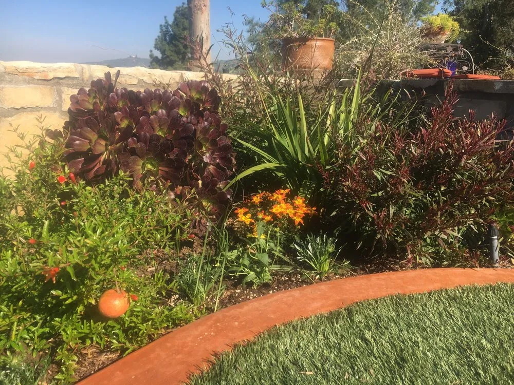 Professional lawn care service experts serving Whittier, CA - JW Garden & Design