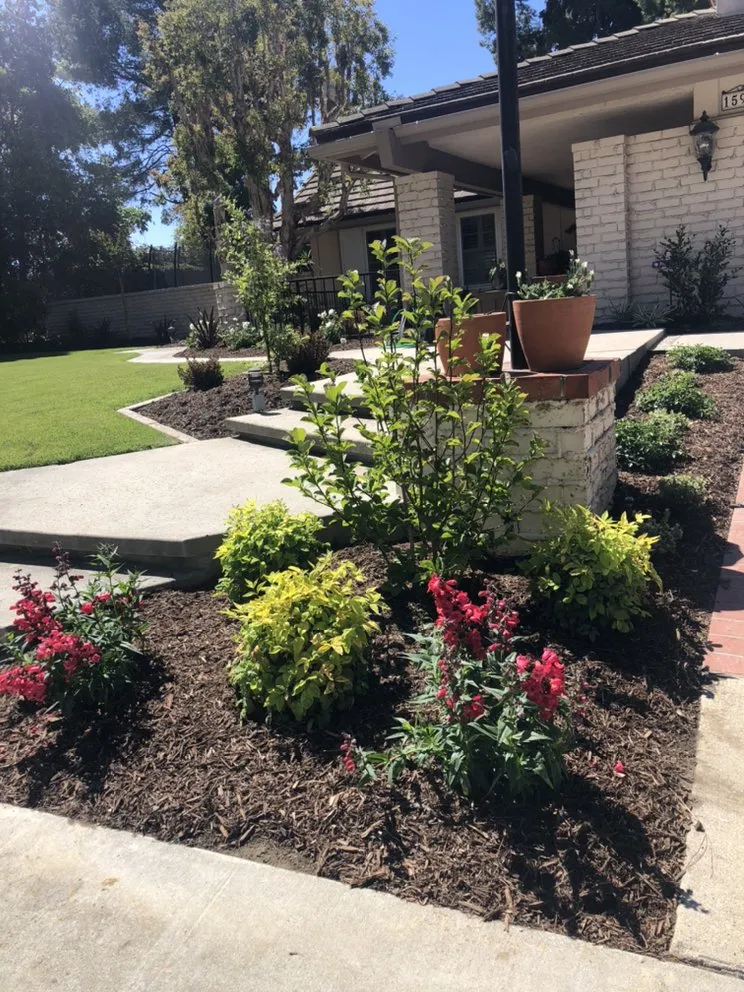 Local yard maintenance experts serving Whittier, CA - JW Garden & Design