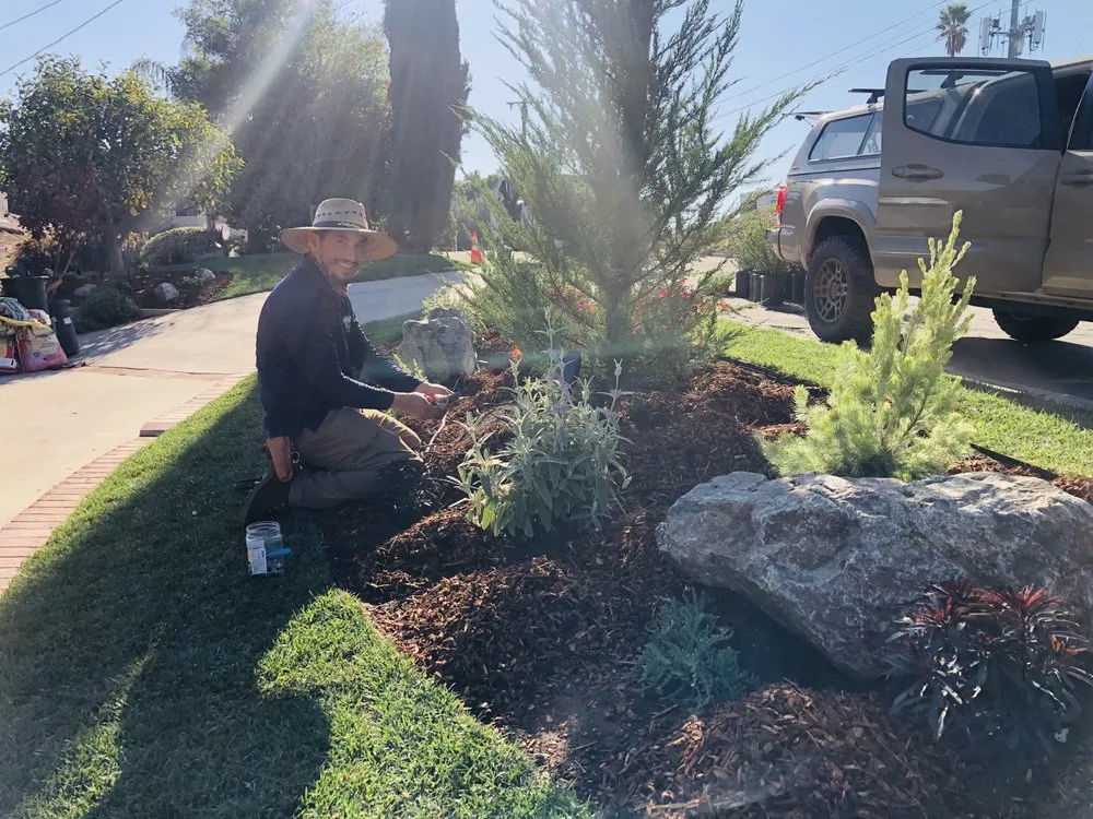 Professional yard maintenance for outdoor upgrades in Whittier, CA by JW Garden & Design