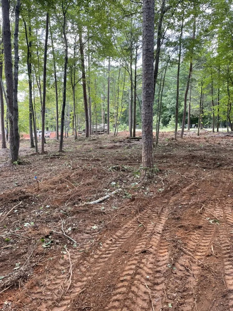 Professional lawn mowing service for year-round maintenance in Waxhaw, NC by J.W Grading