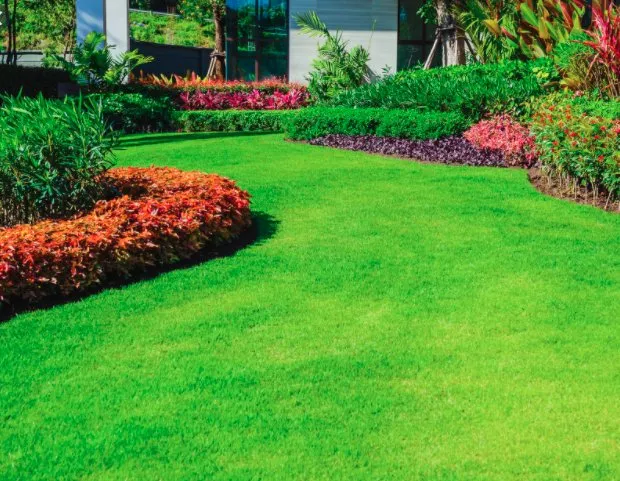 Local landscape installation for year-round maintenance across Leesburg, FL - J&W Homecare