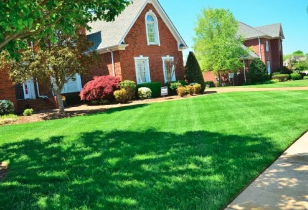 Local lawn mowing service experts serving Leesburg, FL - J&W Homecare