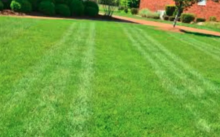 Reliable landscape design near you in Leesburg, FL by J&W Homecare