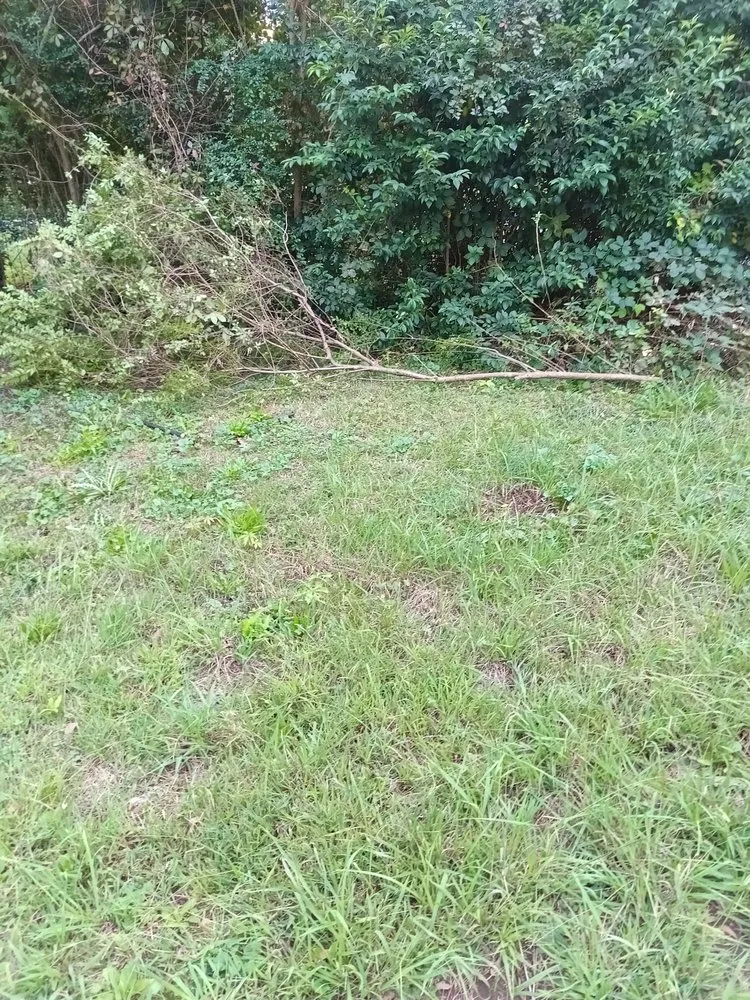 Professional yard maintenance in Gastonia, NC by Jw Kuts