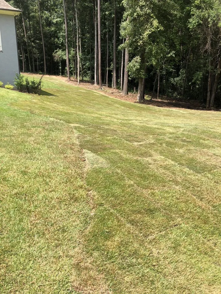 Local yard cleanup service with custom design in Woodstock, GA by JW Land Services