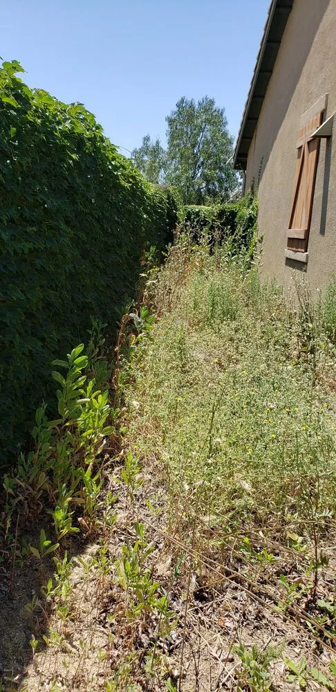 Expert residential landscaping for residential properties across Murrieta, CA - JW Landscape Maintenance