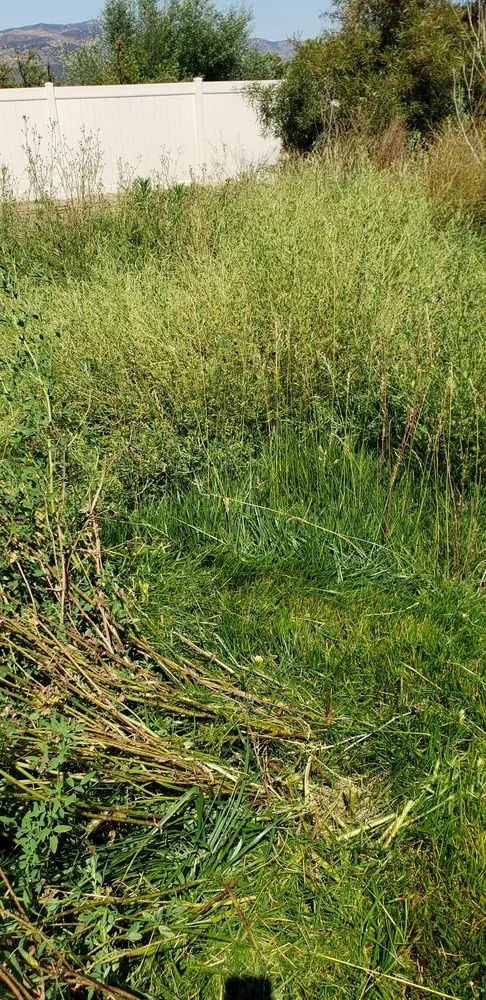 Custom outdoor landscaping experts serving Murrieta, CA - JW Landscape Maintenance