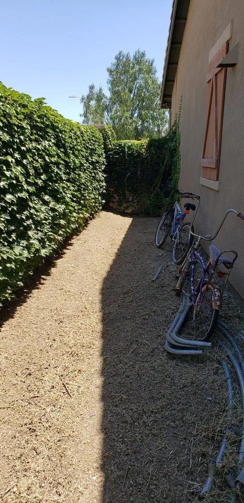 Affordable landscaping services experts serving Murrieta, CA - JW Landscape Maintenance