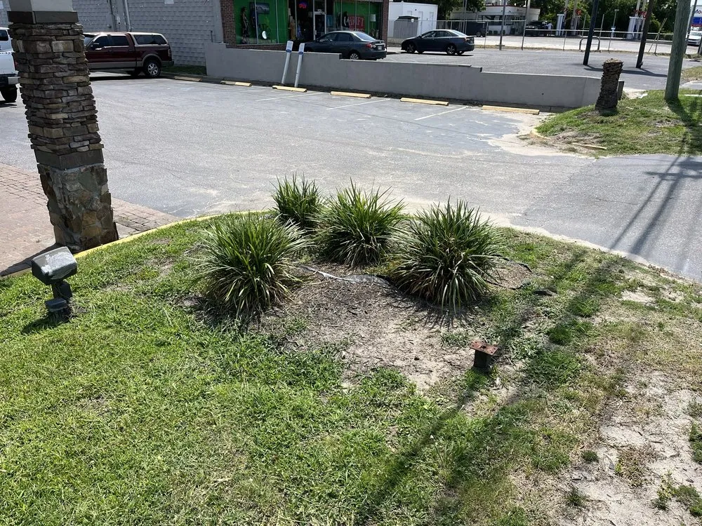 Professional yard maintenance experts serving Charleston, SC - JW Landscaping
