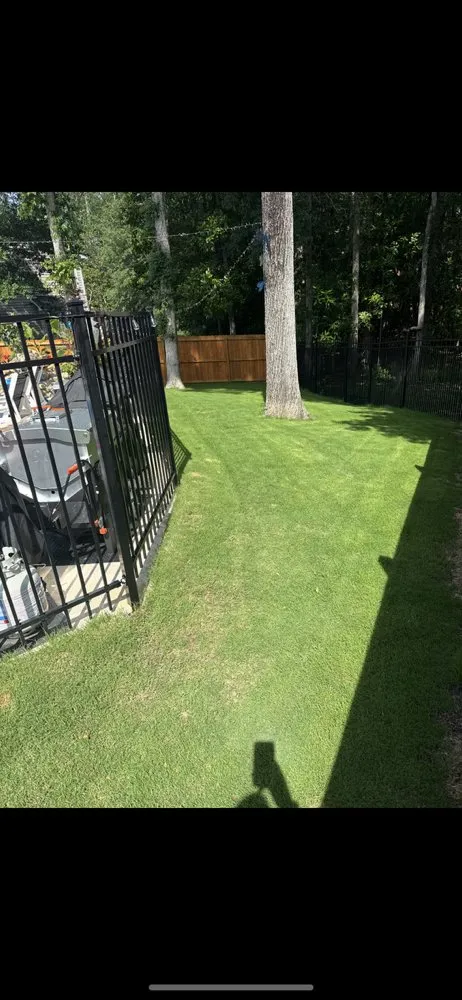 Expert landscape design for outdoor upgrades across Charleston, SC - JW Landscaping