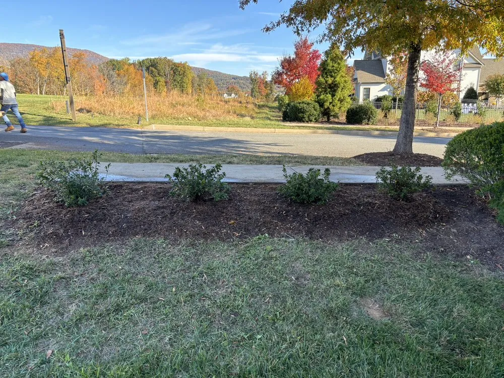 Professional yard cleanup service near you in Earlysville, VA by JW Landscaping