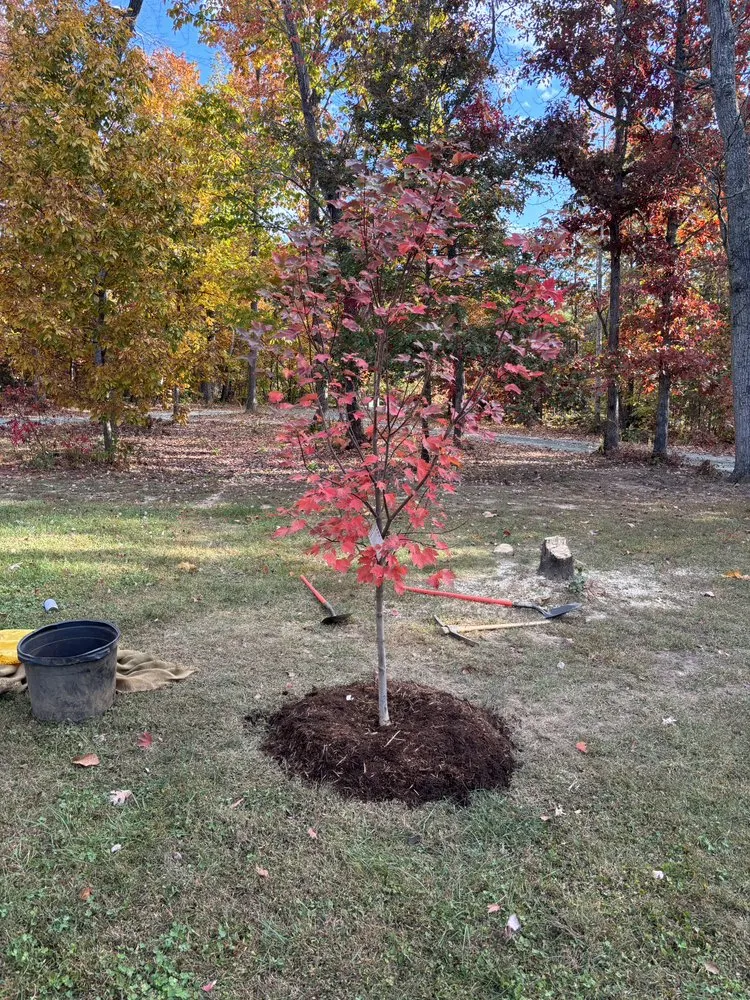 Professional lawn care service for residential properties across Earlysville, VA - JW Landscaping