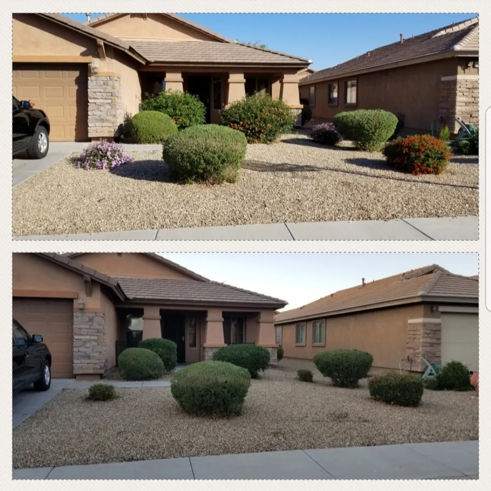 Reliable yard cleanup service near you across Rison, AR - JW Landscaping