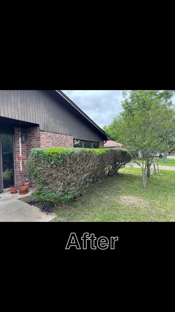 Trusted lawn care service with custom design in Katy, TX by JW Lawn Care