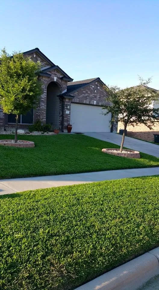Professional lawn mowing service in Killeen, TX - JW Lawn Care