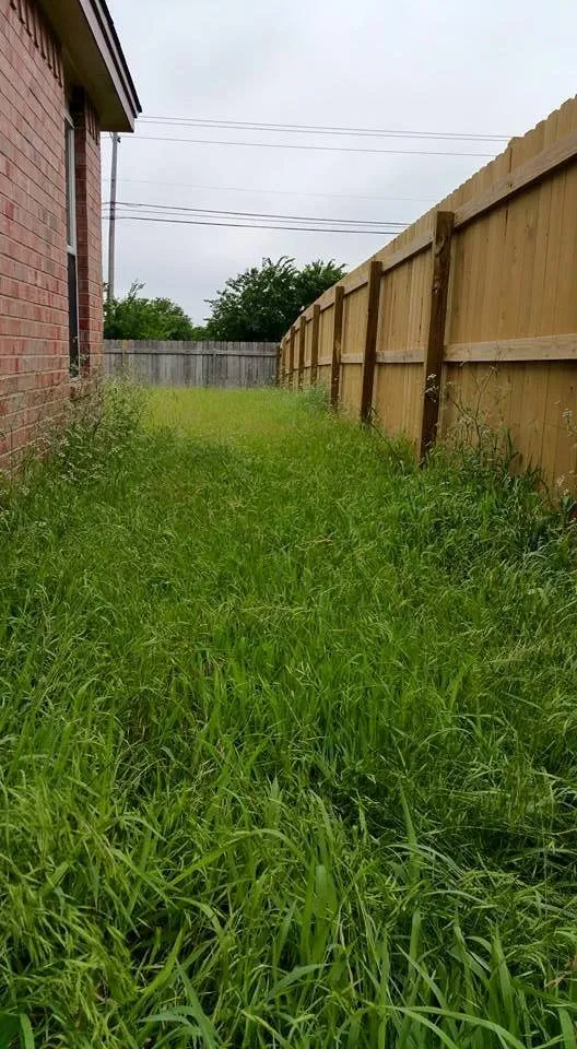 Affordable yard cleanup service for homes across Killeen, TX - JW Lawn Care