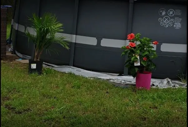 Affordable garden landscaping experts serving Killeen, TX - JW Lawn Care