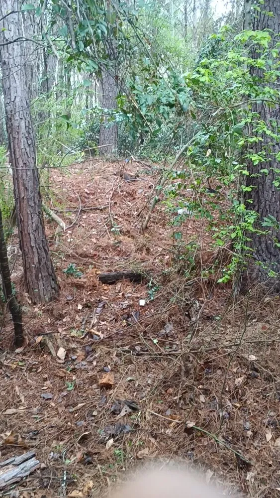 Expert landscape design in LaGrange, GA by J&W Lawn Care