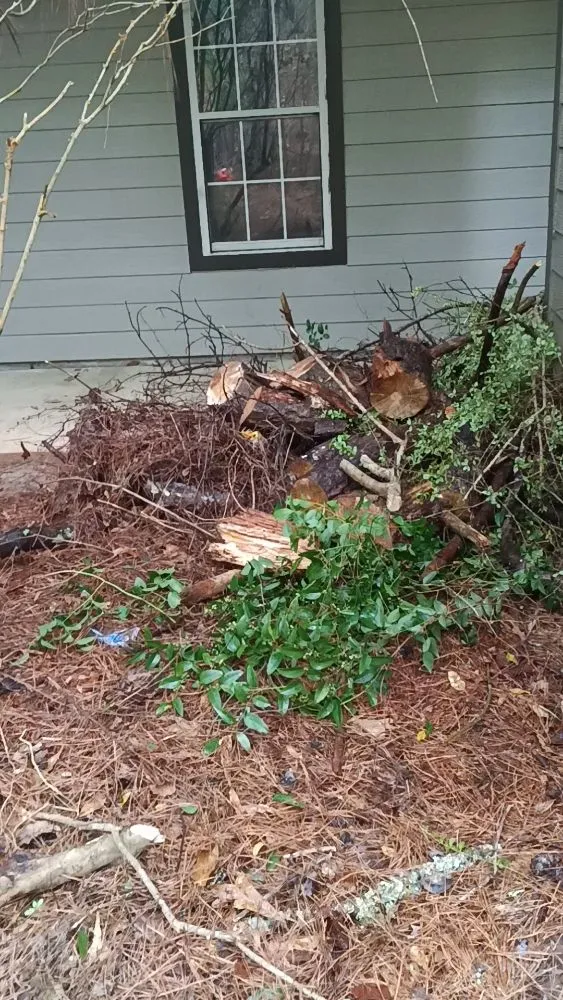 Professional yard maintenance experts serving LaGrange, GA - J&W Lawn Care