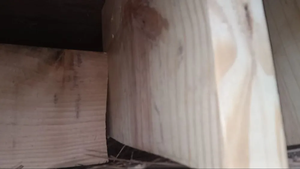 Expert residential landscaping for beautiful yards in LaGrange, GA by J&W Lawn Care