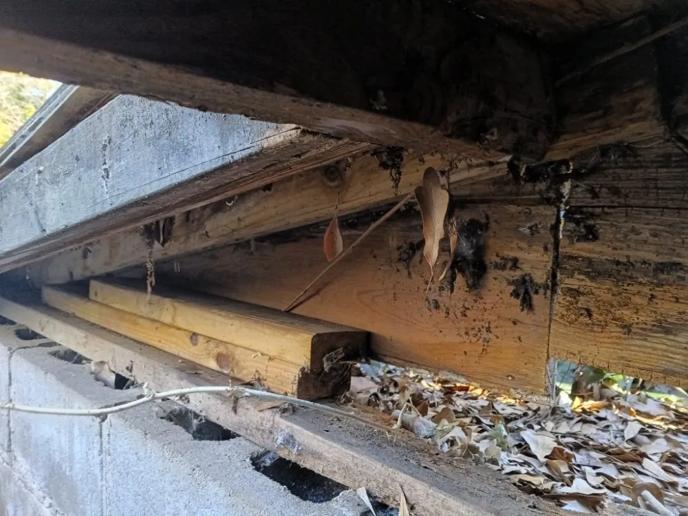 Trusted garden landscaping for residential properties in LaGrange, GA by J&W Lawn Care