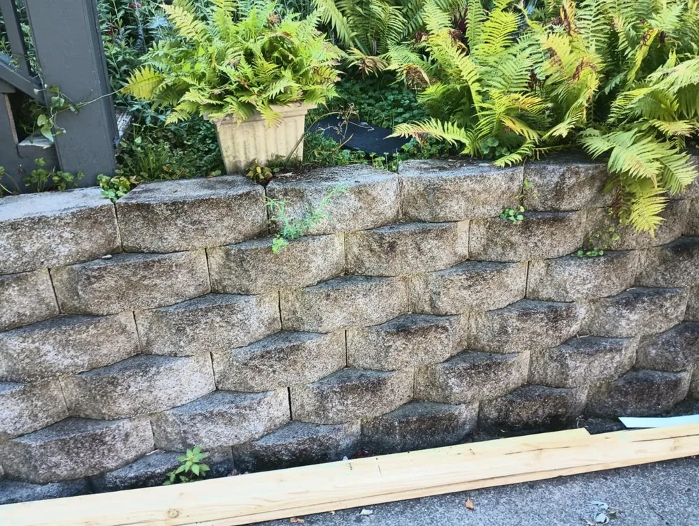 Professional yard cleanup service experts serving Portsmouth, OH - JW Lawn Care