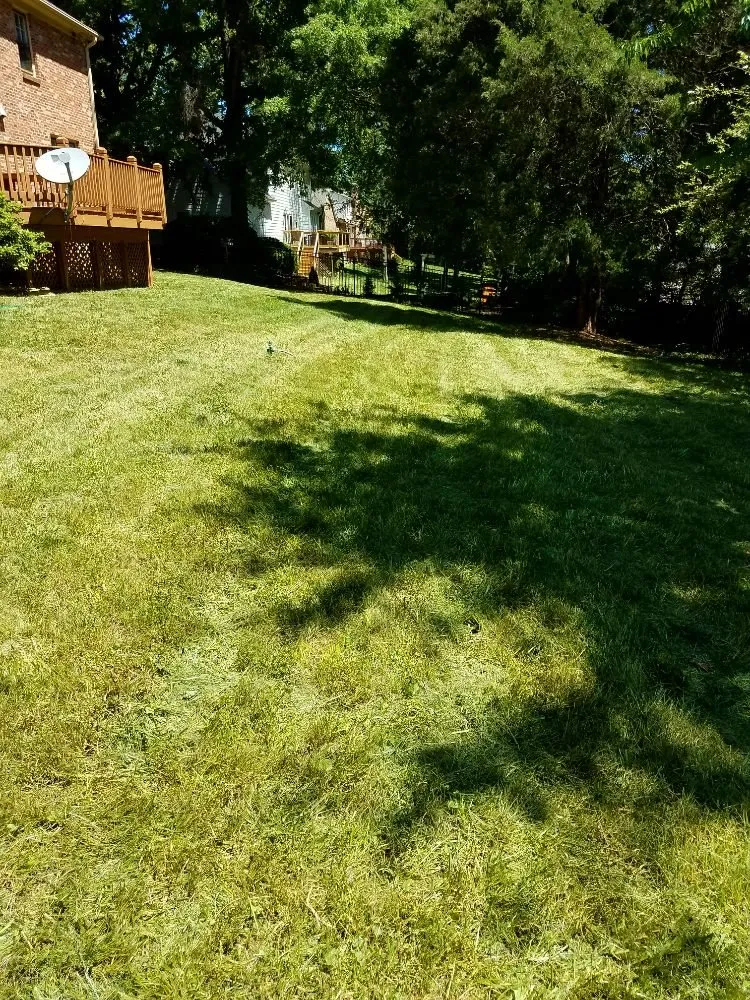 Reliable landscaping services in Charlotte, NC by JW Lawn Care Service