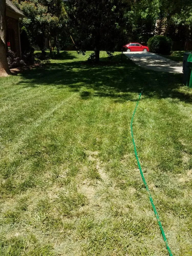 Expert yard cleanup service for year-round maintenance in Charlotte, NC by JW Lawn Care Service