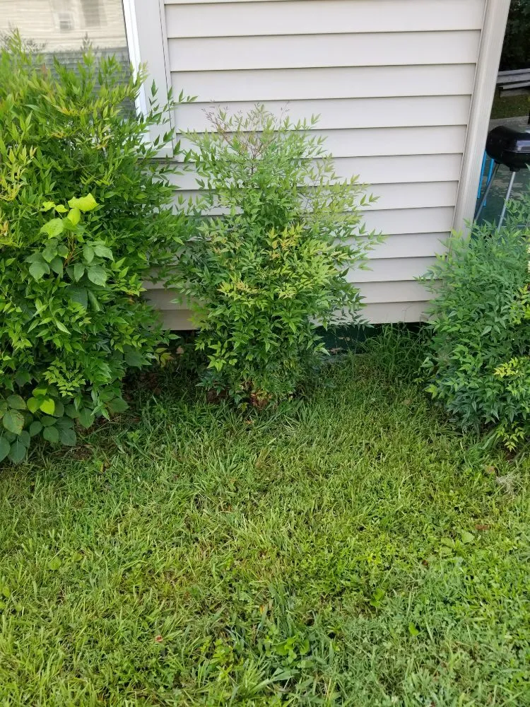 Top-rated landscaping services in Charlotte, NC by JW Lawn Care Service