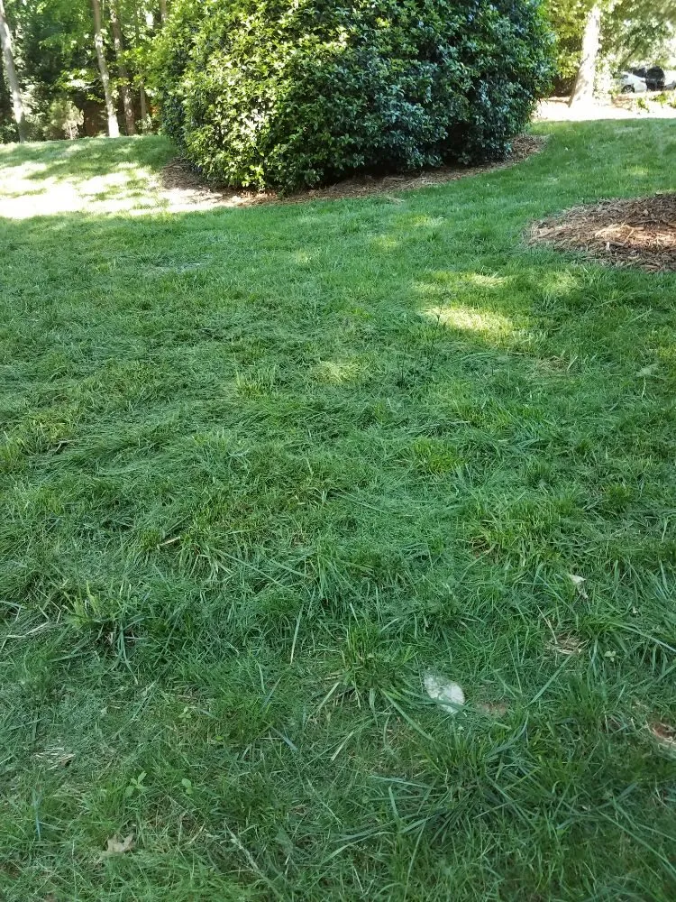 Reliable landscape installation experts serving Charlotte, NC - JW Lawn Care Service