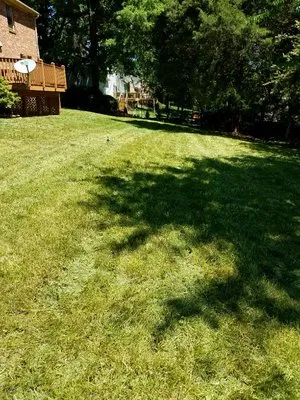 JW Lawn Care Service Logo