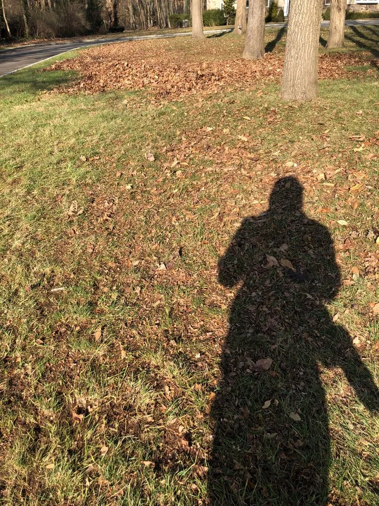 Trusted residential landscaping with custom design in Huntington, NY by JW Lawn Maintenance