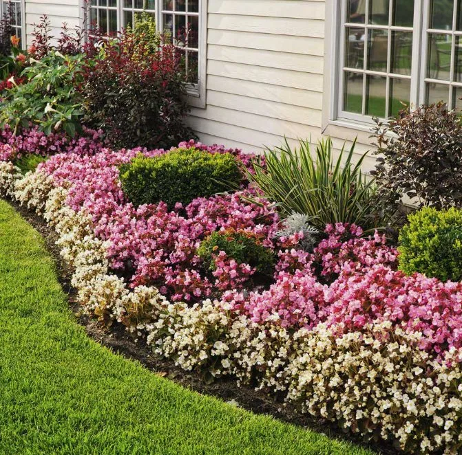 Professional yard cleanup service in Gainesville, FL - J.W. Lawncare