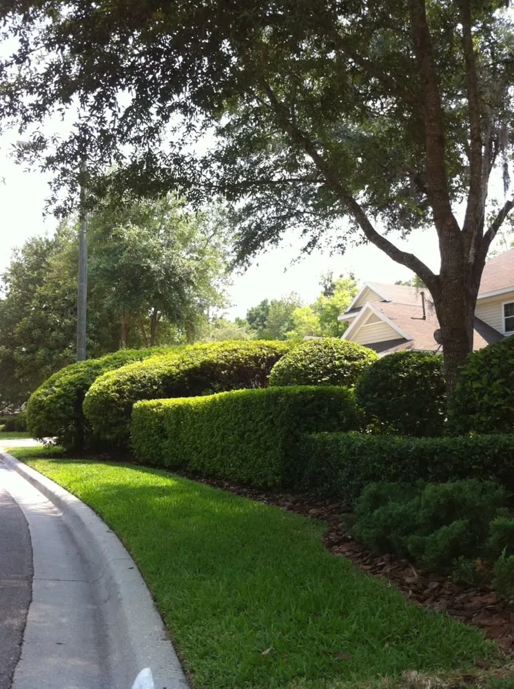 Expert yard cleanup service in Gainesville, FL - J.W. Lawncare