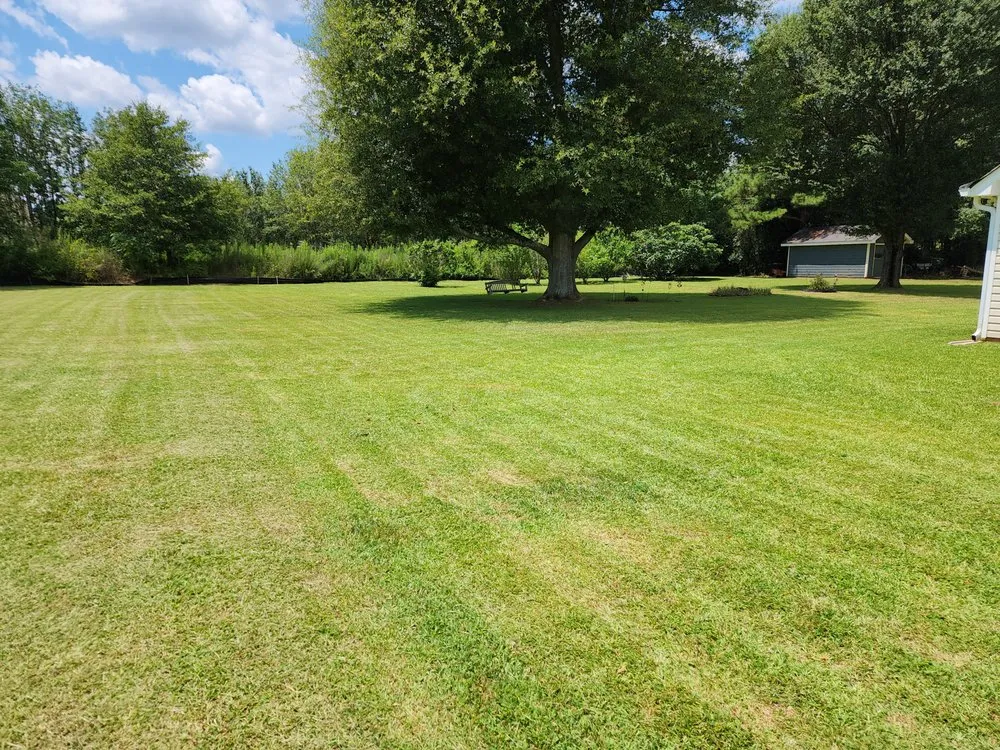 Affordable landscaping services near you across Thomaston, GA - JW Lawncare Maintenance