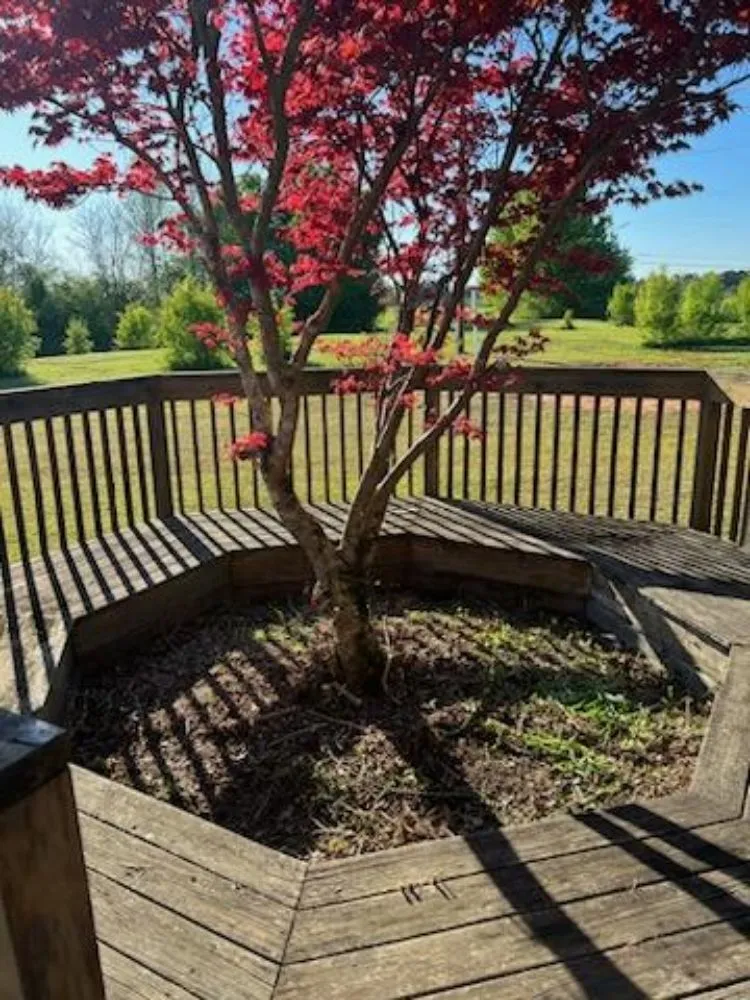 Reliable yard cleanup service for homes in Thomaston, GA by JW Lawncare Maintenance