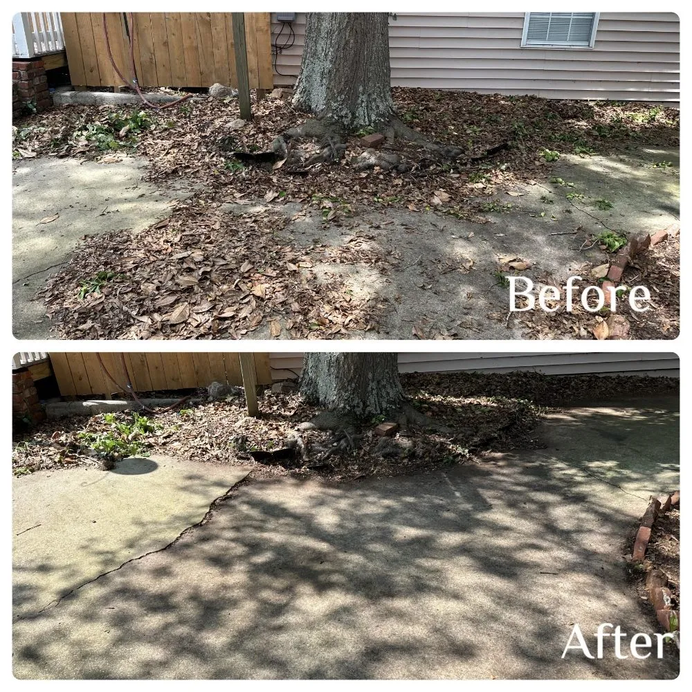 Top-rated lawn mowing service in Thomaston, GA by JW Lawncare Maintenance