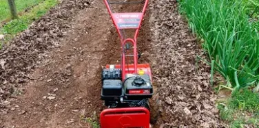 Reliable lawn mowing service experts serving Omaha, NE - J.W. Metz