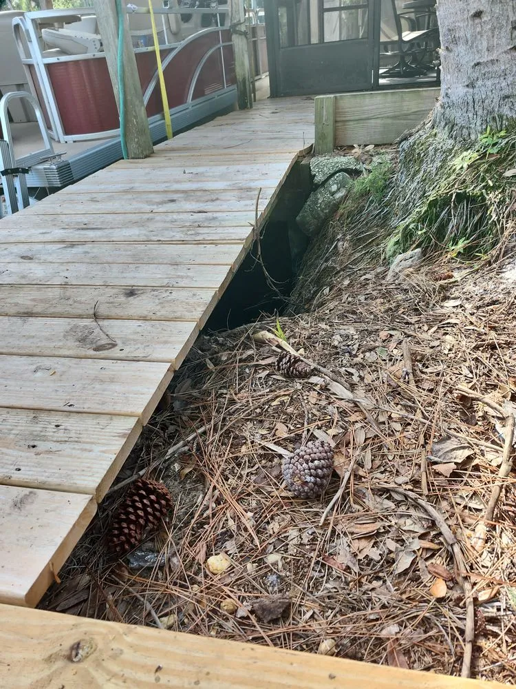 Expert landscape design in Eustis, FL by JW 's Home and Land Solutions