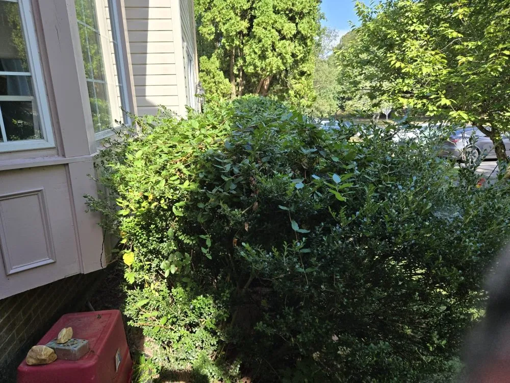 Top-rated garden landscaping experts serving Darnestown, MD - J.W Saravia Landscaping and Concrete Services